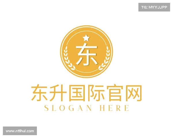 了解东升国际官网